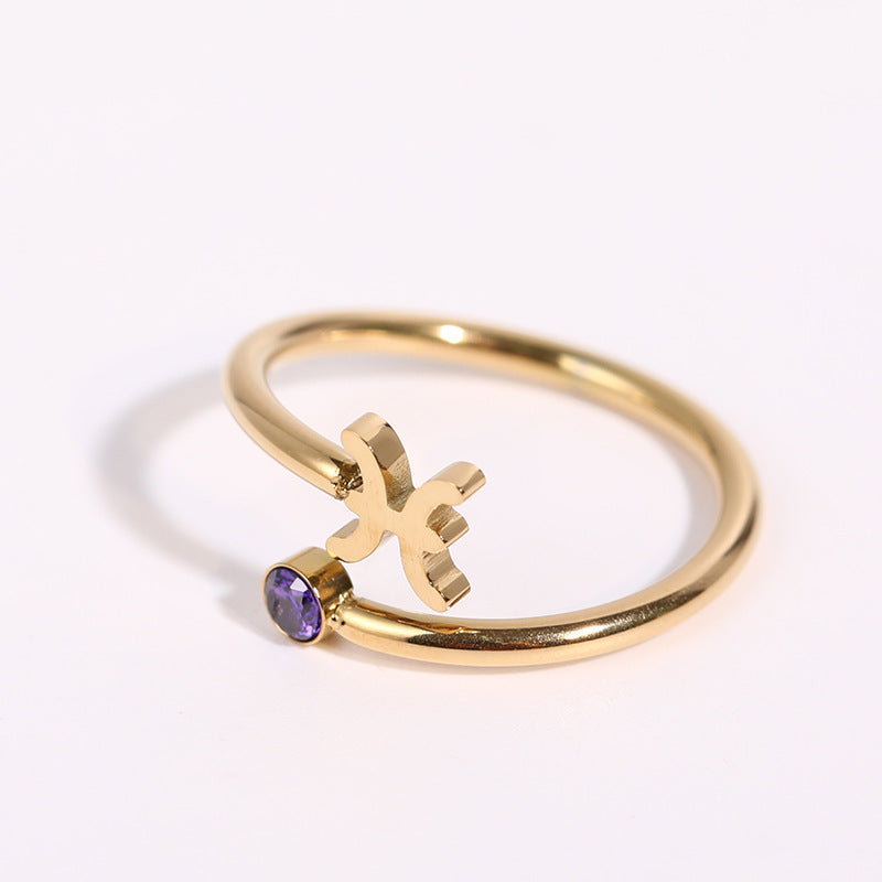Stainless Steel Zodiac Birthstone Adjustable Cuff Ring