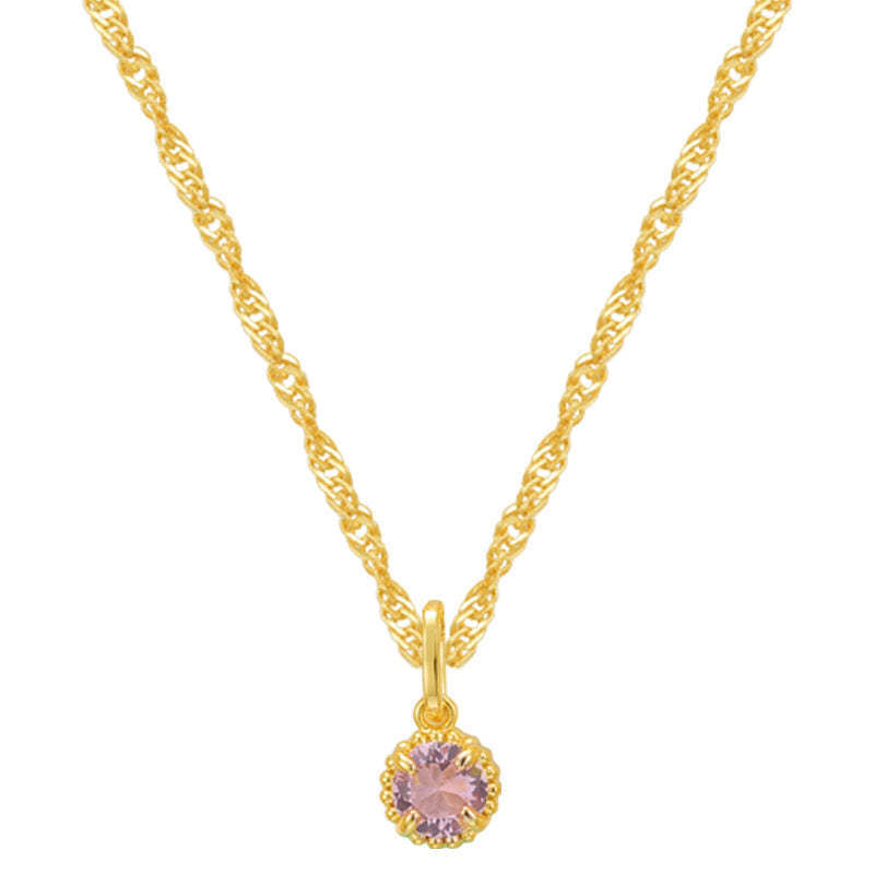 Stainless Steel Birthstone Pendant Necklace