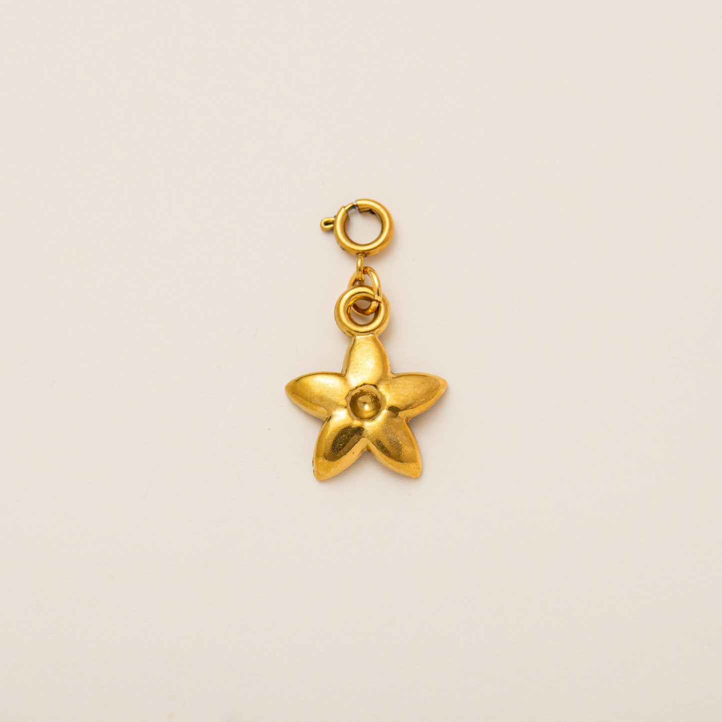 Stainless Steel Flower Bird Food Pendant