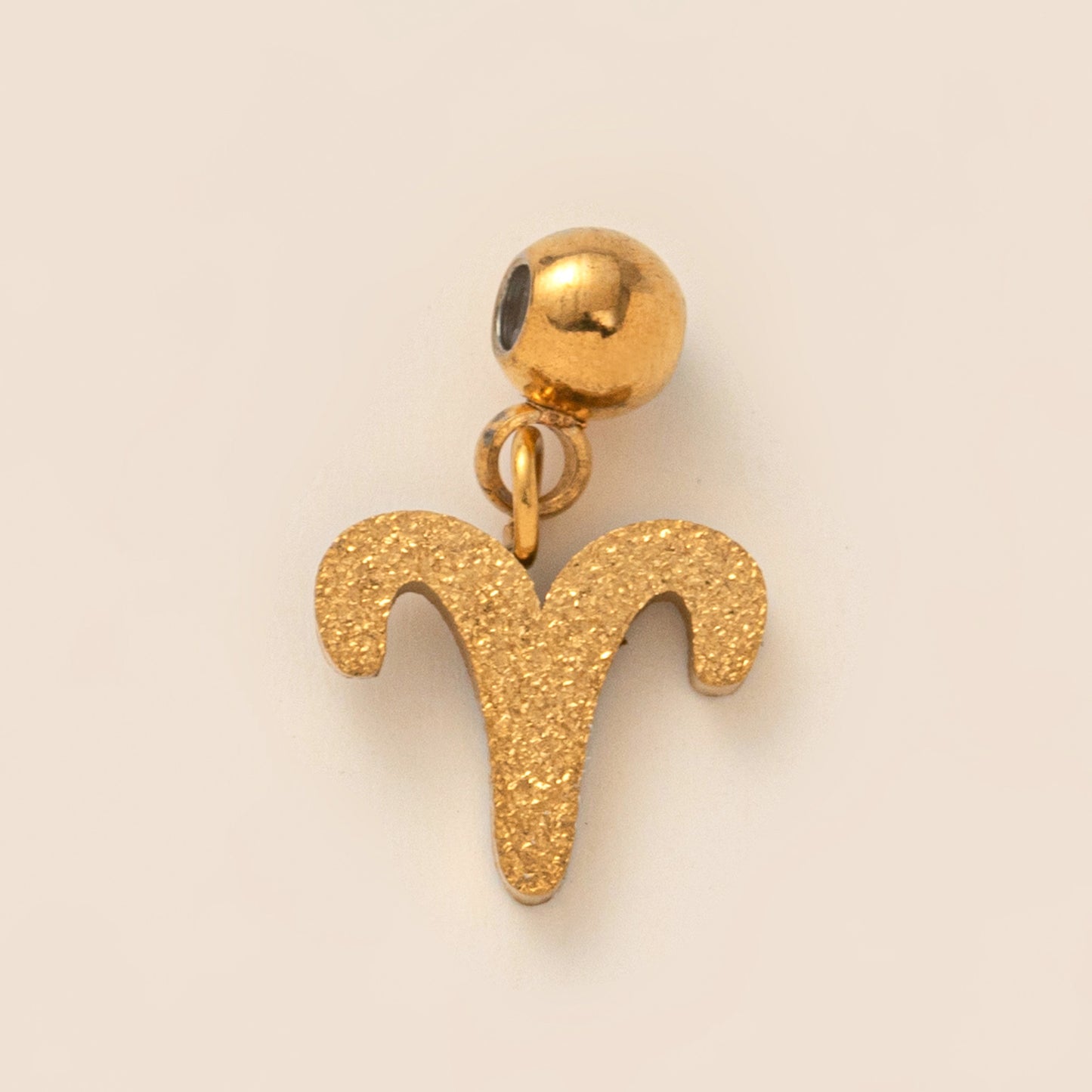 Stainless Steel Brushed Zodiac Pendant
