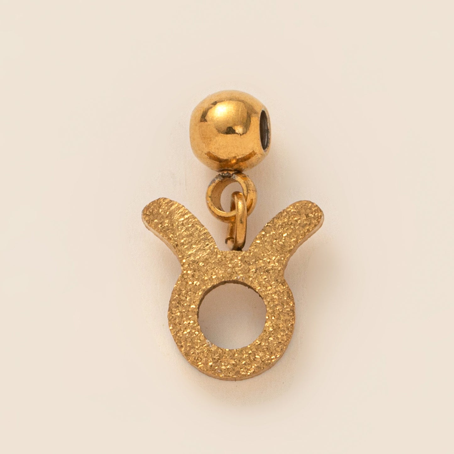 Stainless Steel Brushed Zodiac Pendant