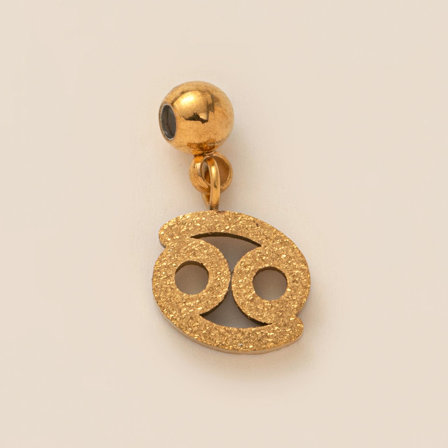 Stainless Steel Brushed Zodiac Pendant