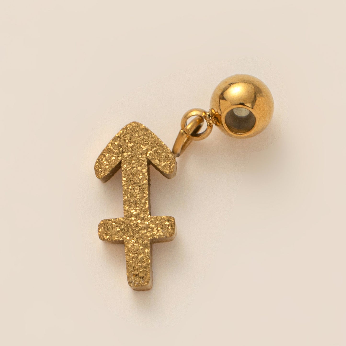 Stainless Steel Brushed Zodiac Pendant