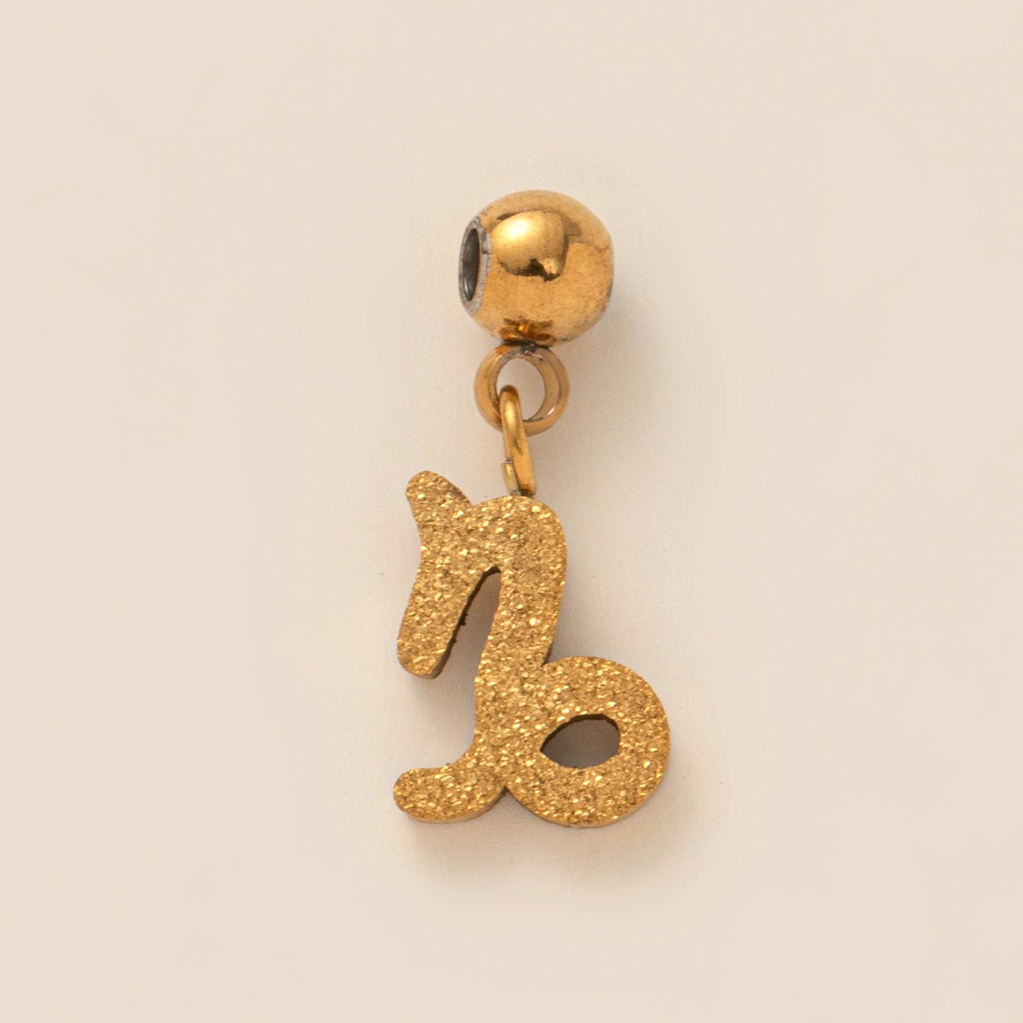 Stainless Steel Brushed Zodiac Pendant