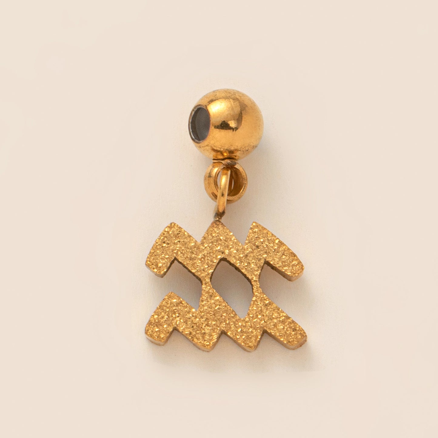 Stainless Steel Brushed Zodiac Pendant
