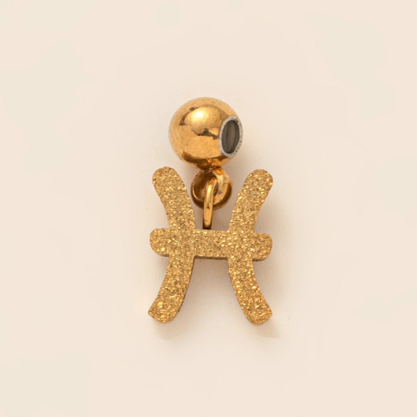 Stainless Steel Brushed Zodiac Pendant