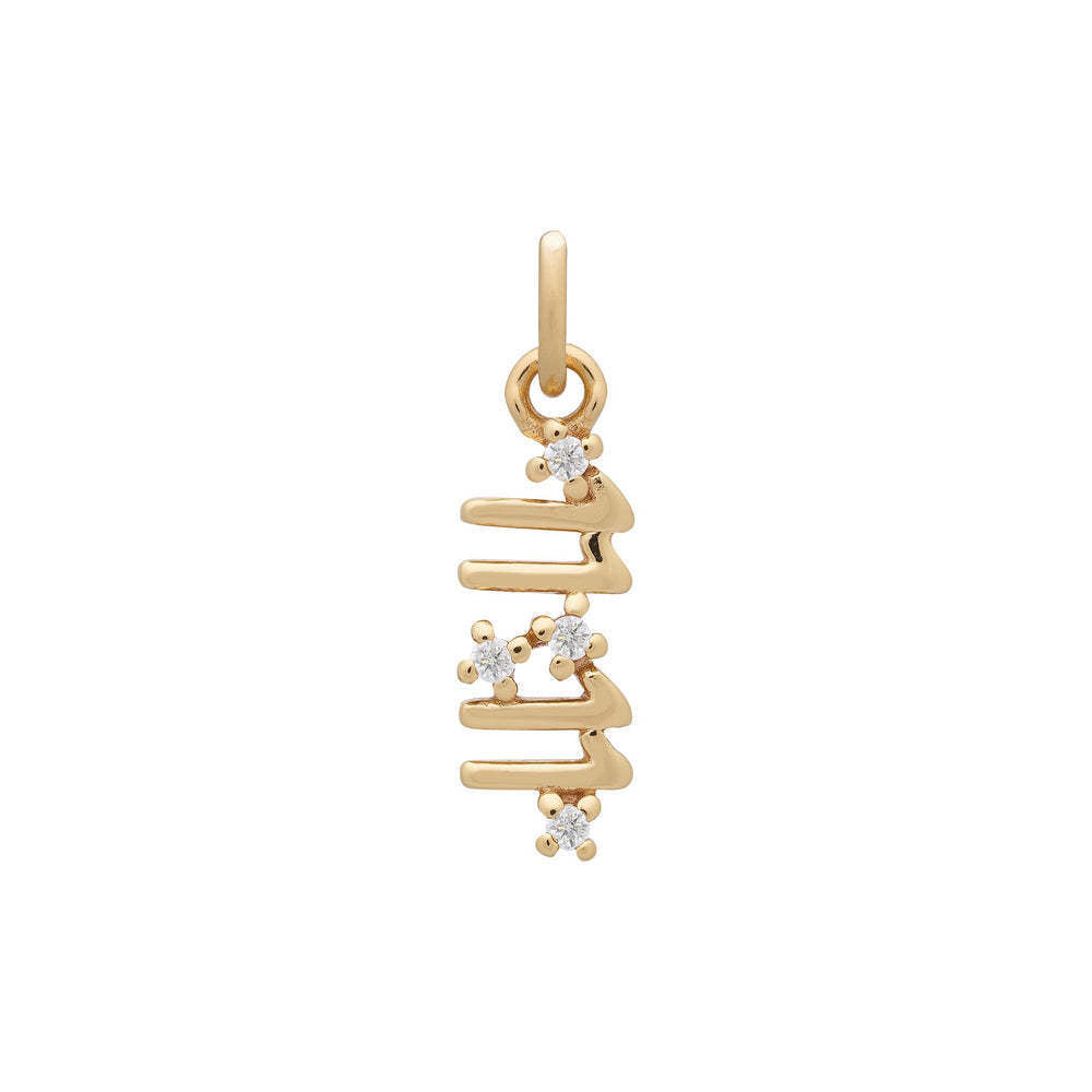 Stainless Steel Heart Animal Food Pendant