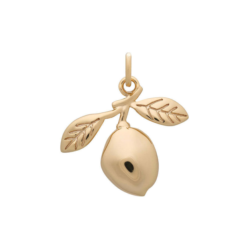 Stainless Steel Heart Animal Food Pendant