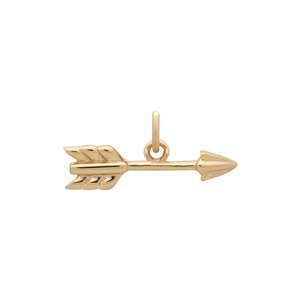 Stainless Steel Heart Animal Food Pendant