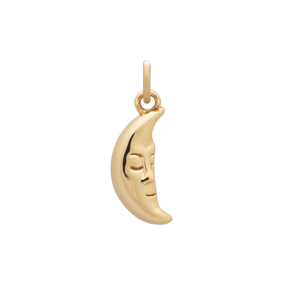 Stainless Steel Heart Animal Food Pendant