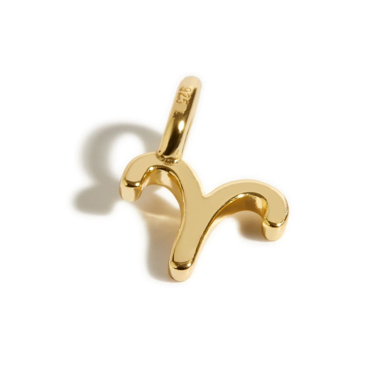 Stainless Steel Polished Zodiac Pendant