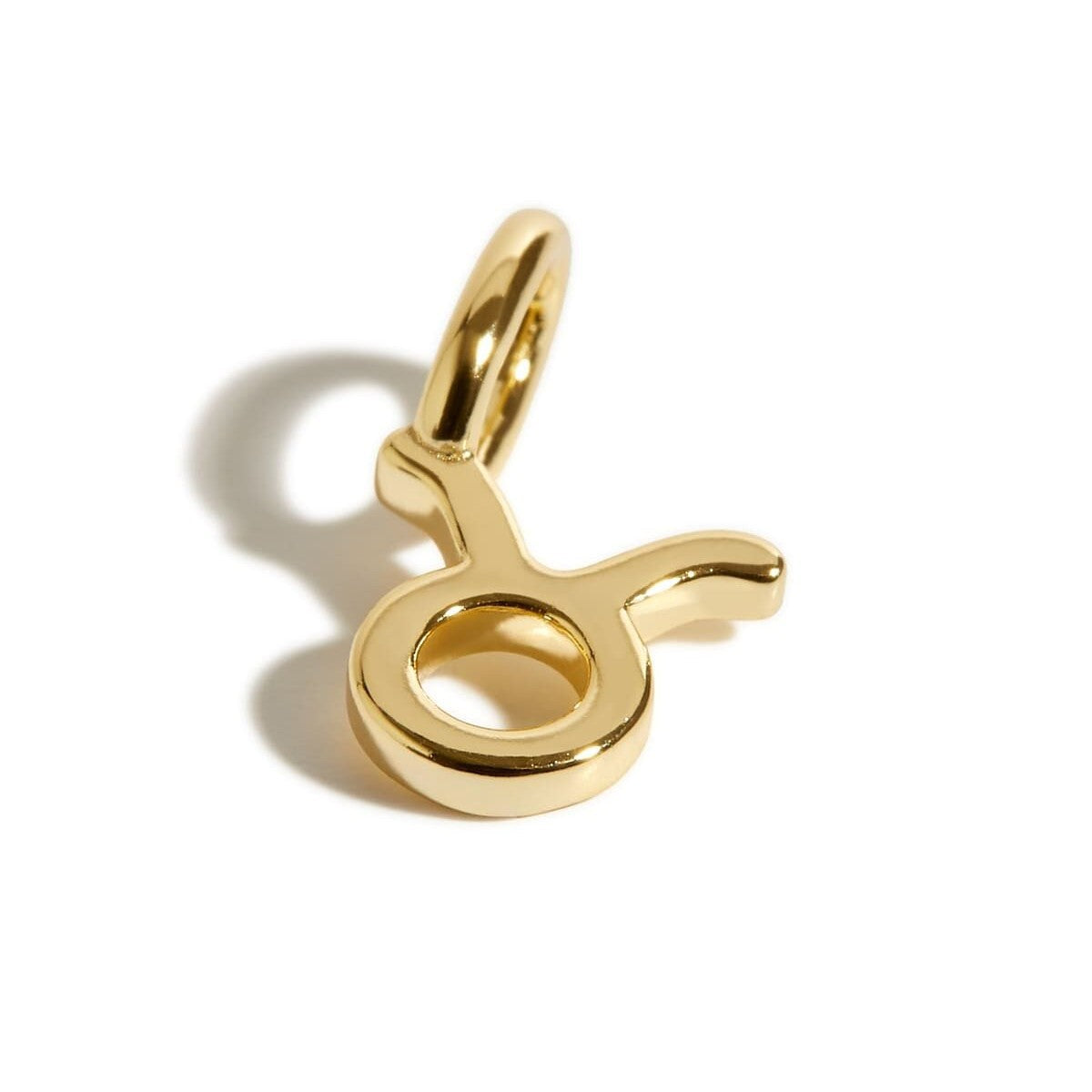Stainless Steel Polished Zodiac Pendant