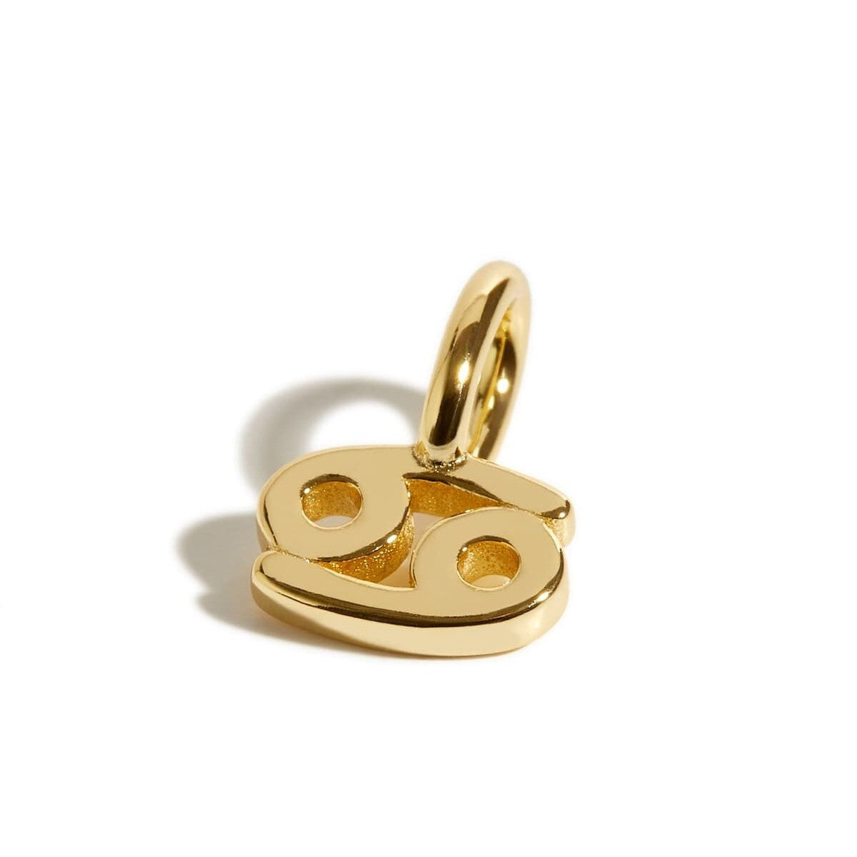 Stainless Steel Polished Zodiac Pendant