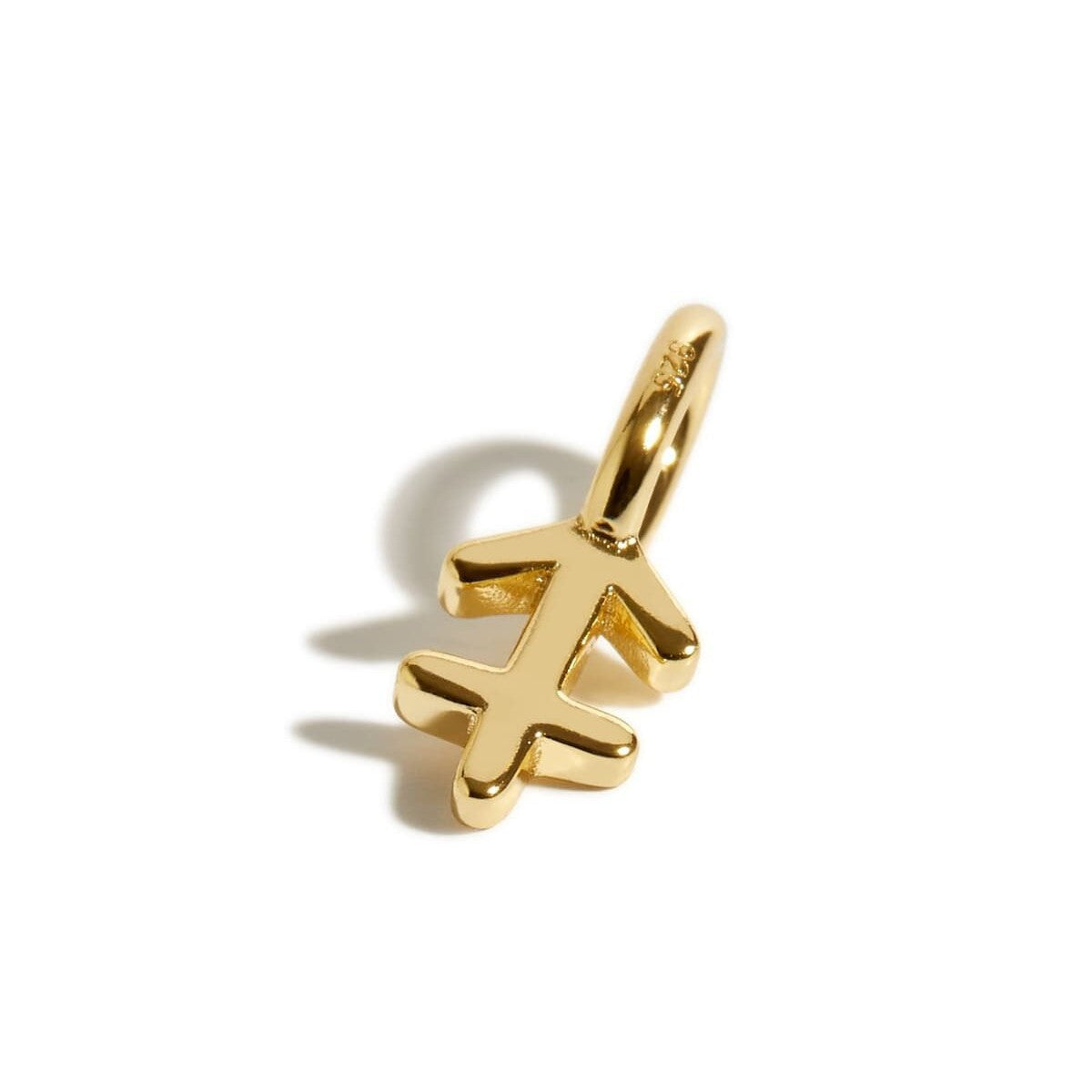 Stainless Steel Polished Zodiac Pendant