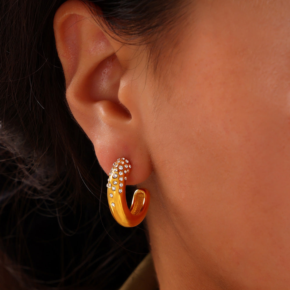 Stainless Steel Crushed Czech Diamond Hoop Earrings