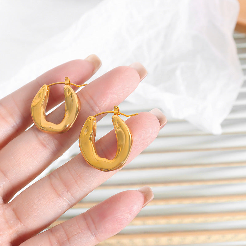 Irregular Hoop Stainless Steel Earrings