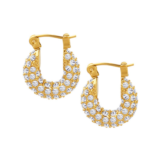 Stainless Steel Full Cubic Zirconia Hoop Women's Earrings