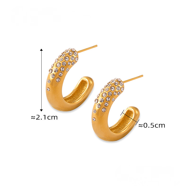 Stainless Steel Crushed Czech Diamond Hoop Earrings