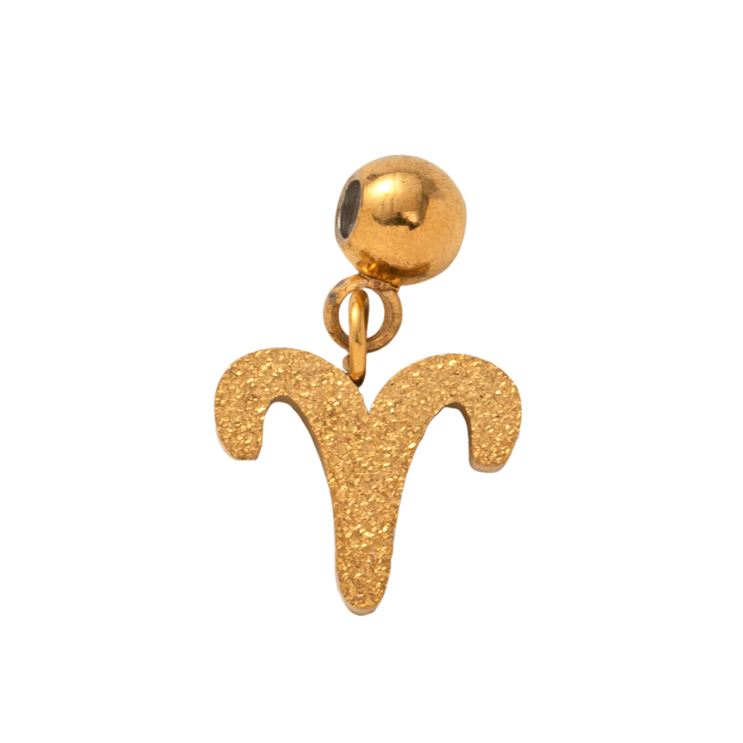 Stainless Steel Brushed Zodiac Pendant