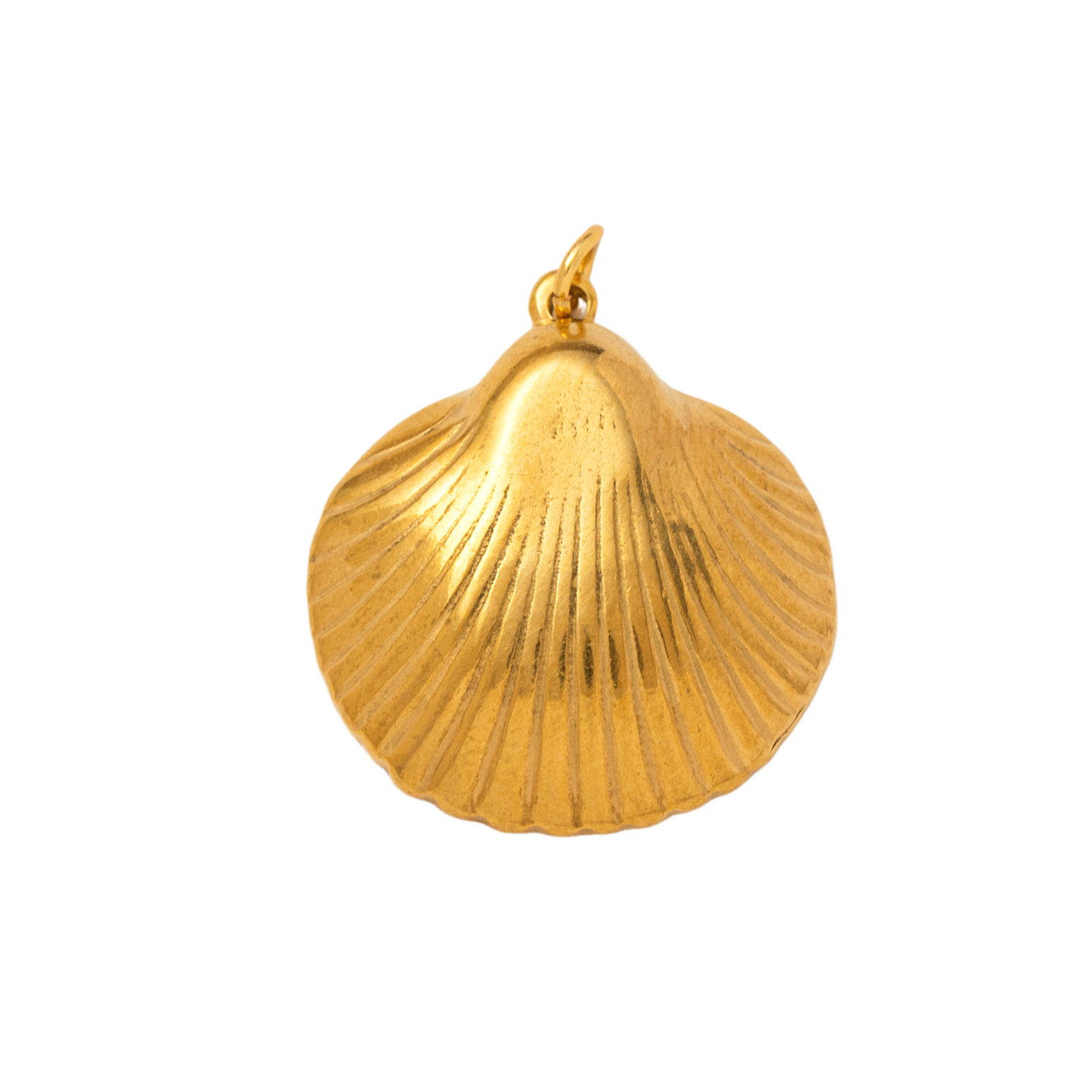 Stainless Steel Shell Series Pendant