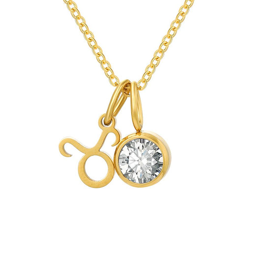 Stainless Steel Zodiac Birthstone Pendant Necklace