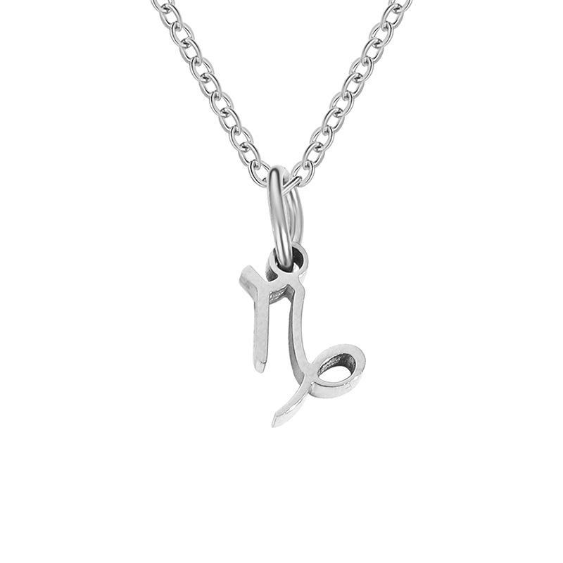 Stainless Steel Zodiac Cable Chain Classic Necklace