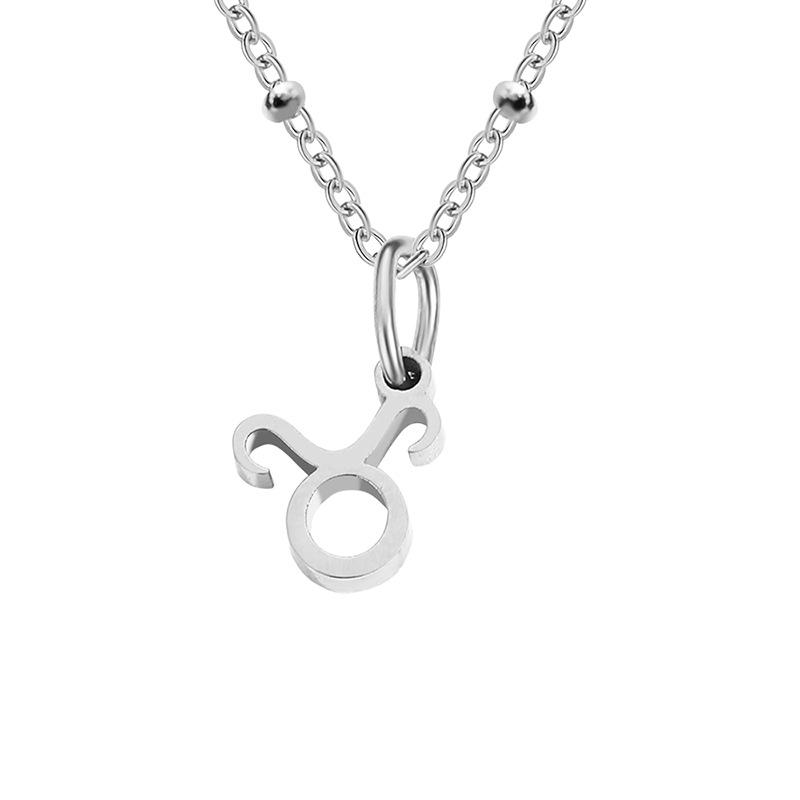 Stainless Steel Ball Chain Zodiac Necklace