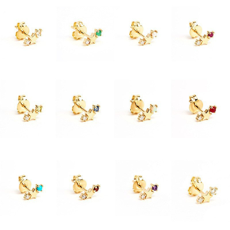 Stainless Steel Star Inlay Birthstone Zodiac Stud Earrings