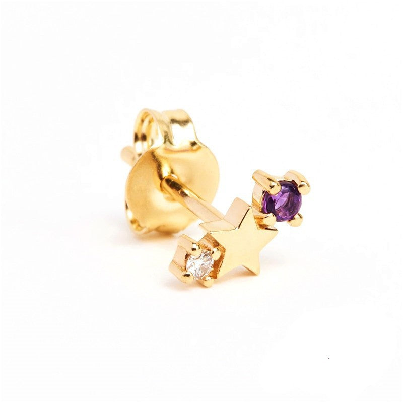 Stainless Steel Star Inlay Birthstone Zodiac Stud Earrings