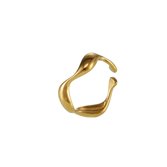 Bague polie incurvée en acier inoxydable