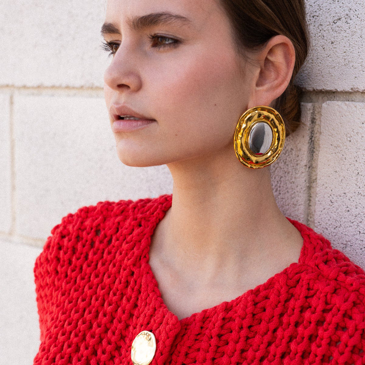 Stainless Steel Gold and Steel Two-Tone Rotundity Earrings