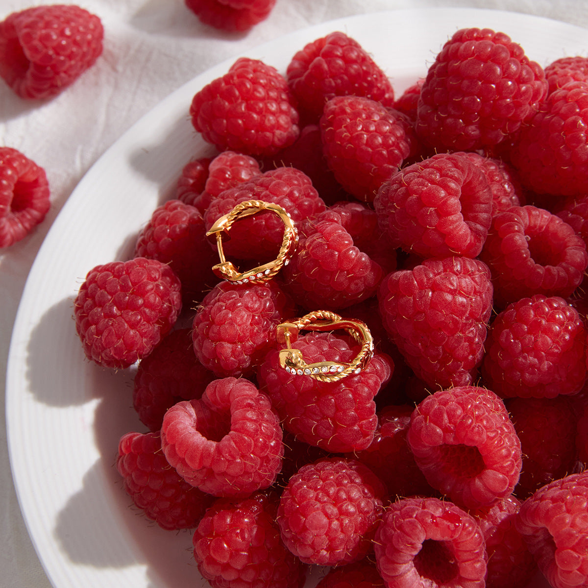 Stainless Steel Rhinestone Threaded Twisted Rope Hoop Earrings