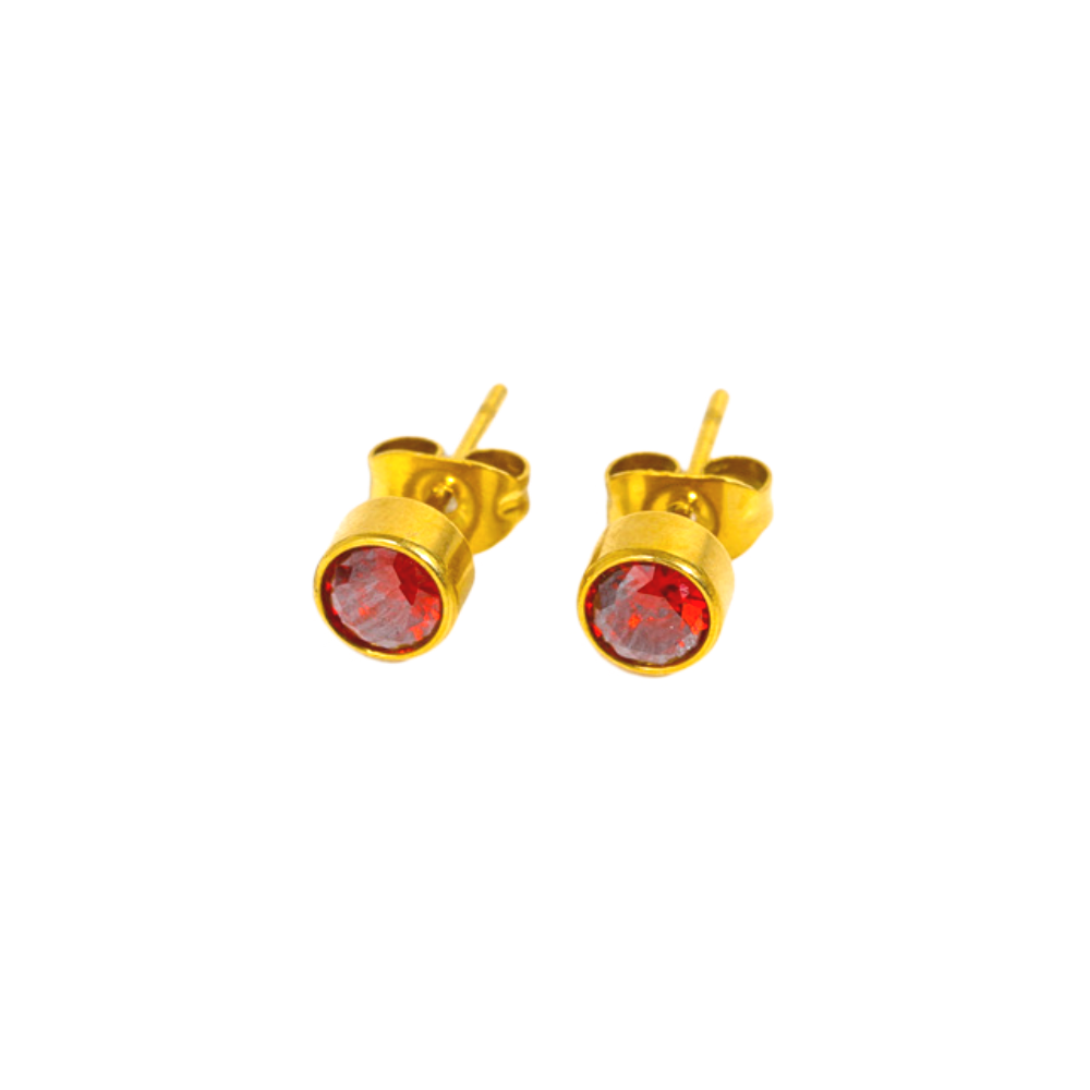 18K Gold PVD Stainless Steel Round Birthstone Earrings