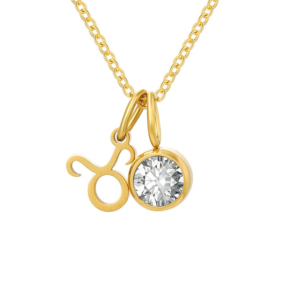Stainless Steel Zodiac Birthstone Pendant Necklace