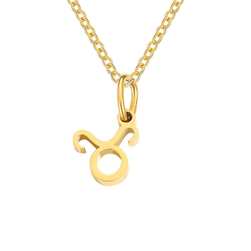 Stainless Steel Zodiac Cable Chain Classic Necklace