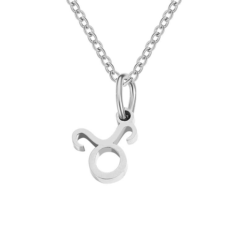Stainless Steel Zodiac Cable Chain Classic Necklace