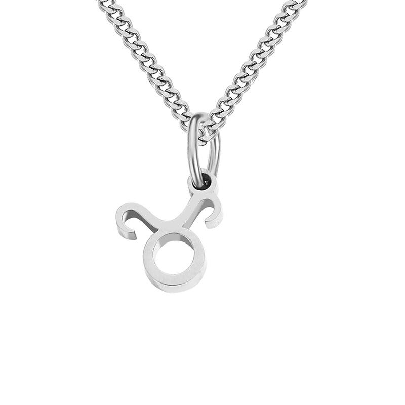 Stainless Steel Curb Chain Zodiac Necklace