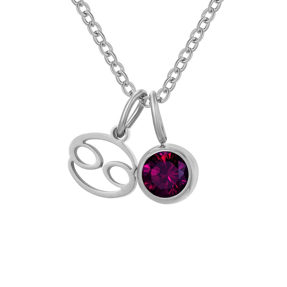 Stainless Steel Zodiac Birthstone Pendant Necklace