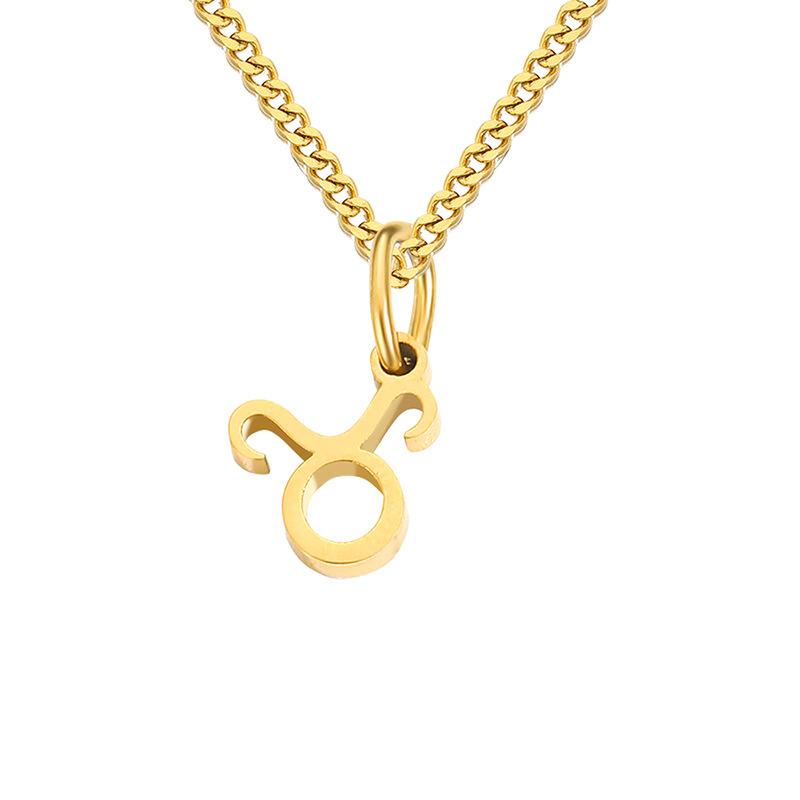 Stainless Steel Curb Chain Zodiac Necklace