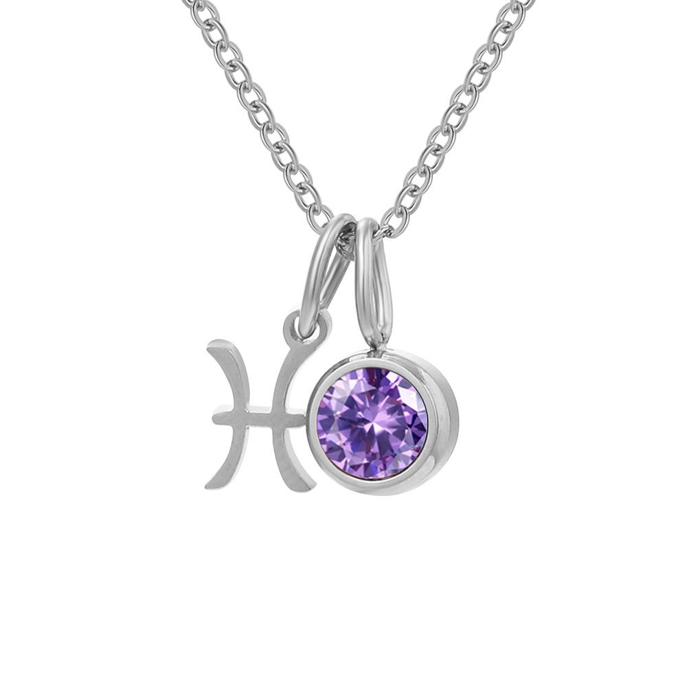 Stainless Steel Zodiac Birthstone Pendant Necklace